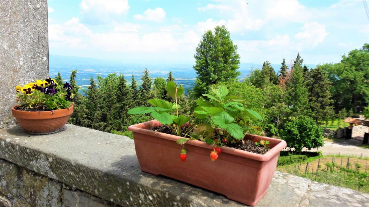 A Due Passi Dal Chianti Διαμέρισμα Cavriglia Εξωτερικό φωτογραφία